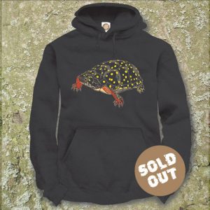 Turtles Model 16B Clemmys gutttata, Sold Out, Hooded Sweater, black