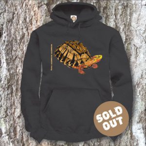 Turtles Model 7B, Cuora galbinifrons, Sold Out, black Hooded Sweater