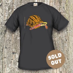 Turtles Model 11, Cuora trifasciata trifasciata, Sold Out, Black T-shirt