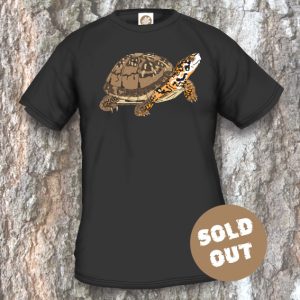 Turtles Model 13A, Terrapene carolina triunguis, Sold Out, black T-shirt
