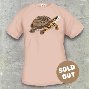 Turtles Model 13B, Terrapene carolina triunguis, Sold Out, sand coloured T-shirt
