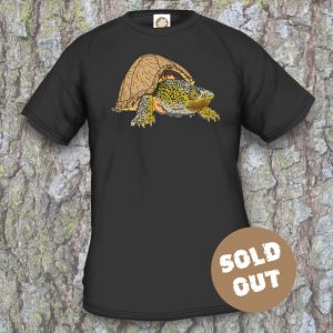 Turtles Model 15A Sternotherus carinatus Sold Out, black shirt