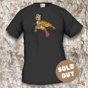 Turtles Model 19 Sold Out