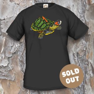 Turtles Model 20 Sold Out