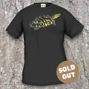turtle-arts-nl Turtle Night 2017, black shirt, sold out