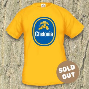 Turtles Model 4, Chelonia 1, Sold Out, Yellow shirt