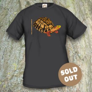 Turtles Model 7A, Cuora galbinifrons, Sold Out, black T-shirt