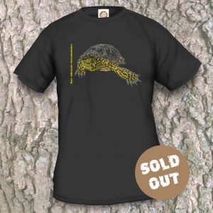 Turtles Model 9A, Emys orbicularis fritzjuergenobsti, Sold Out, black T-shirt