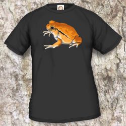 Frogs/Toads Model 3, Dyscophus guineti, black T-shirt