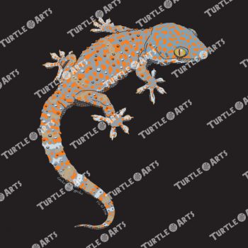 TLM2 Gecko gecko gecko artwork