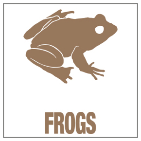 Frogs & Toads