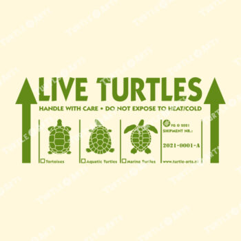 LIVE TURTLES
