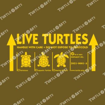 LIVE TURTLES