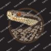 Vipera berus berus mugshot