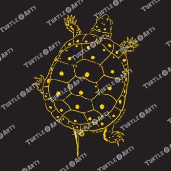 Spotted Turtle