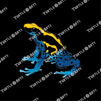 Dyeing Poison Dart Frog - Image 2