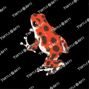 Strawberry Poison Dart Frog - Image 2