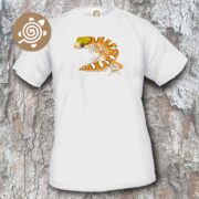 Helmeted Gecko - gray