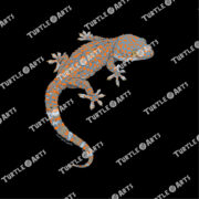 Tokay gecko - Image 2