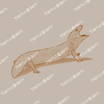 Shingleback Skink - sand - Image 2
