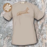 Shingleback Skink - sand