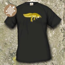Eastern Newt
