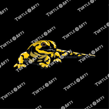 Lined Fire Salamander II - Image 2