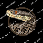 Common European Viper - Image 2