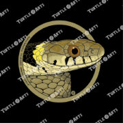 Barred Grass Snake - Image 2