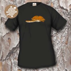 Dinner-plate Turtle