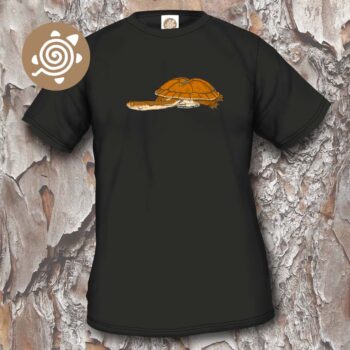 Dinner-plate Turtle