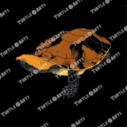 Twist-necked Turtle - Image 2