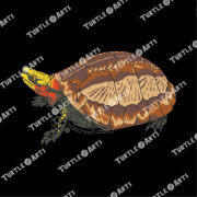 Indochinese Box Turtle II - Image 2