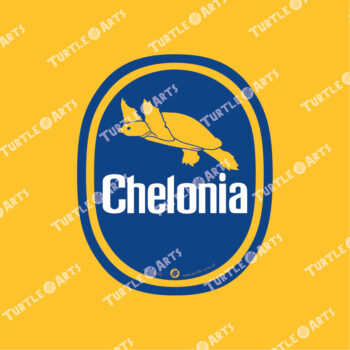 Chelonia IV - Carettochelys insculpta - Image 2