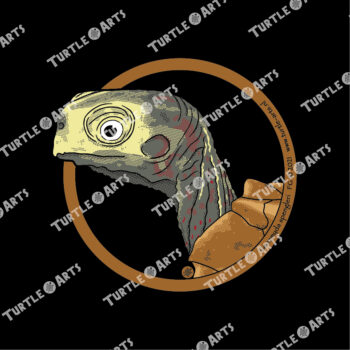 Black-breasted Leaf Turtle - Image 2