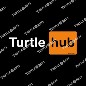 Turtle Hub - Image 2