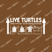 LIVE TURTLES - brown - Image 2