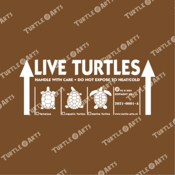 LIVE TURTLES - brown - Image 2
