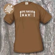 LIVE TURTLES - brown
