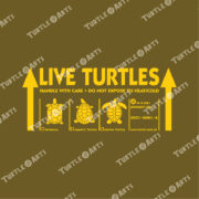 LIVE TURTLES - green - Image 2