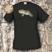 Narrow-bridged Musk Turtle