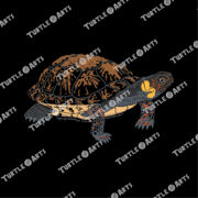 Bog Turtle - Image 2