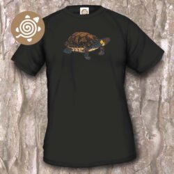 Bog Turtle