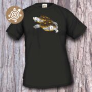 Ornate Diamondback Terrapin