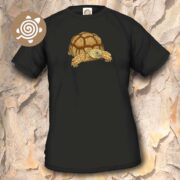 African Spurred Tortoise