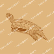 Black-breasted Leaf Turtle - Image 2