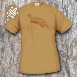 Black-breasted Leaf Turtle
