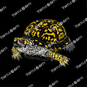 Eastern Box Turtle III - Image 2