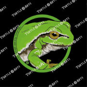 European Tree Frog - Image 2